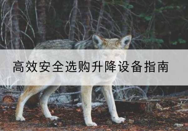 康巴什升降货梯厂家推荐-*安全选购升降设备指南