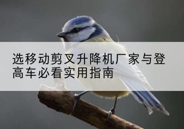 康巴什电动升降机厂家-选移动剪叉升降机厂家与登高车必看实用指南
