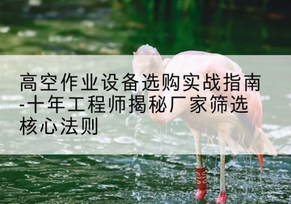 康巴什剪叉式升降机厂家-高空作业设备选购实战指南-十年工程师揭秘厂家筛选核心法则